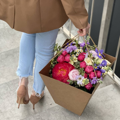 Accesorii adiționale / Veze